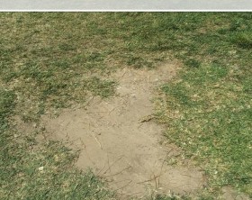 Lawn with bare patch due to compaction by lots of traffic