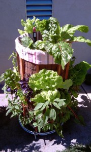 Phytopod-Vertical-Garden-Planter-with-herbs-vegetables