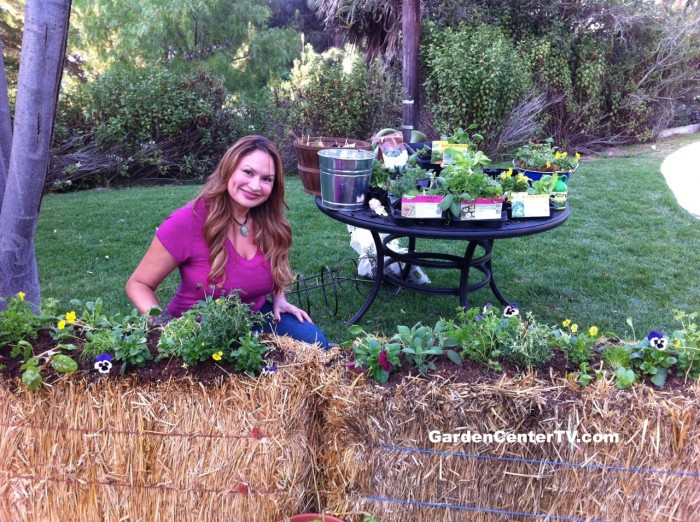 Shirley-Bovshow-Straw-Bale-Planter-Home-and-Family