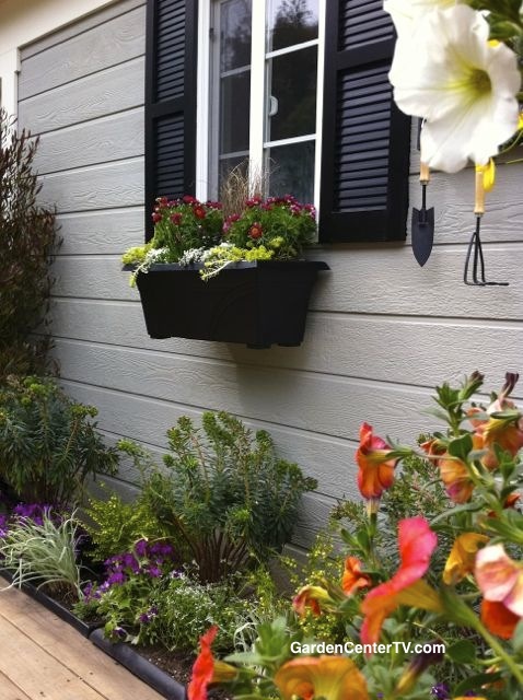 Black-window-box-garden-drought-tolerant-plants-garden-center-tv