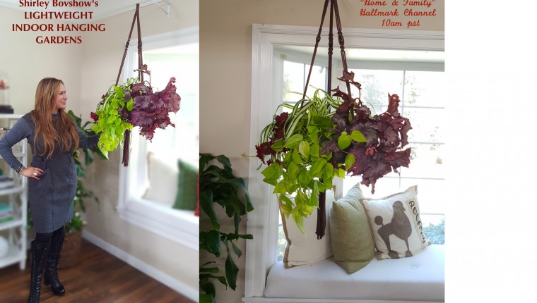 shirley-bovshow's instant and lightweight hanging-indoor-garden planters