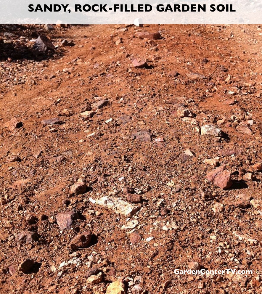 Sandy and Rocky Garden Soil Solution Garden Center TV