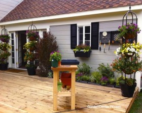 Deck-Container-Garden-With-Low-Water-Plants-by-Shirley-Bovshow