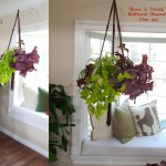 shirley-bovshow's instant and lightweight hanging-indoor-garden planters